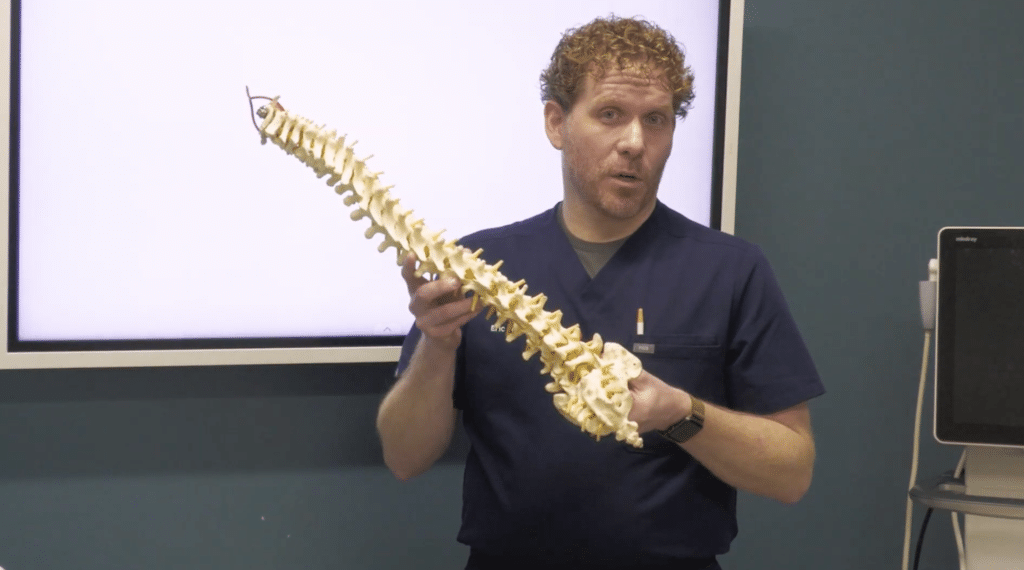 lumbar spine mechanics